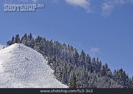 
                Winterlandschaft, Nadelwald, Wintersport, Skihang                   