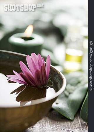 
                Wellness & Relax, Aromatherapie                   
