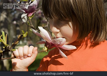
                Mädchen, Frühling, Magnolienblüte, Duften, Riechen                   