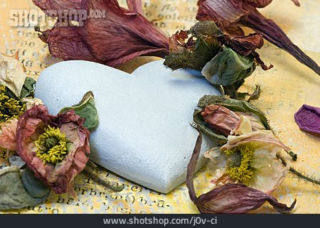
                Herz, Trockenblume, Amaryllisblüte                   