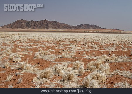 
                Wüste, Sandwüste, Namibwüste                   