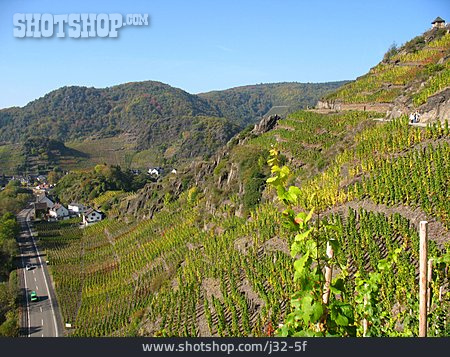 
                Weinbau, Weinberg, Rotweinwanderweg, Ahrtal                   
