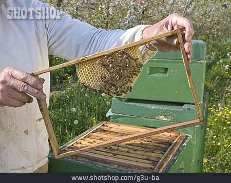 
                Bienenstock, Bienenzucht, Imker, Wabe                   