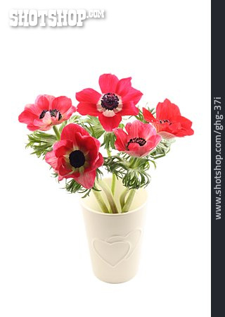 
                Blumenstrauß, Blumenvase, Vase, Kronenanemone                   