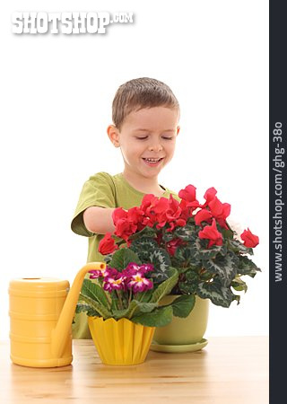 
                Junge, Blumenpflege                   