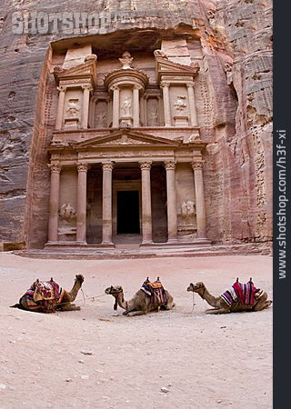 
                Petra, Felsenstadt, Kamel, Jordanien                   