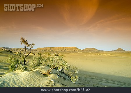 
                Wüste, ägypten, Libysche Wüste                   