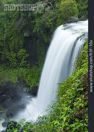 
                Wasserfall, Urwald, Tropisch                   