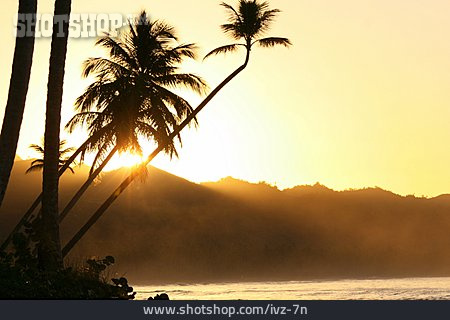 
                Sonnenuntergang, Palmen, Karibik                   