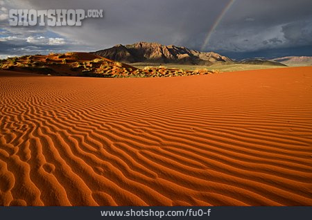 
                Wüste, Regenbogen                   
