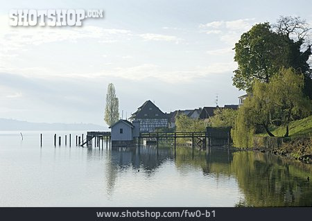 
                Ufer, Seeufer, Bodensee                   