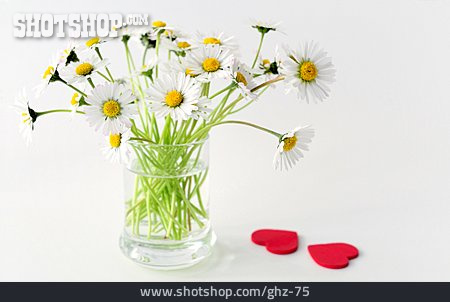
                Blumenvase, Gänseblümchen                   