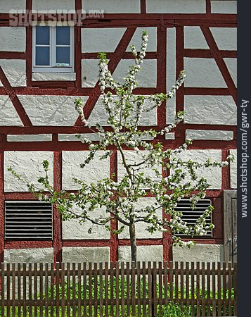 
                Baum, Fassade, Fachwerkhaus, Gartenzaun                   