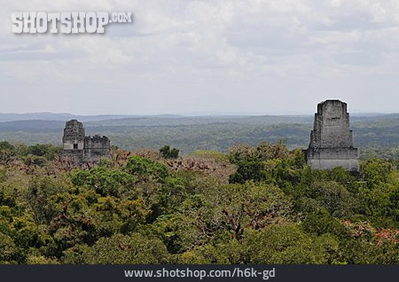 
                Dschungel, Tempel, Guatemala, Tikal                   