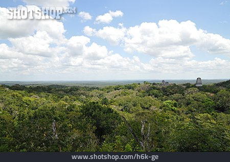 
                Dschungel, Guatemala, Tikal, Maya                   