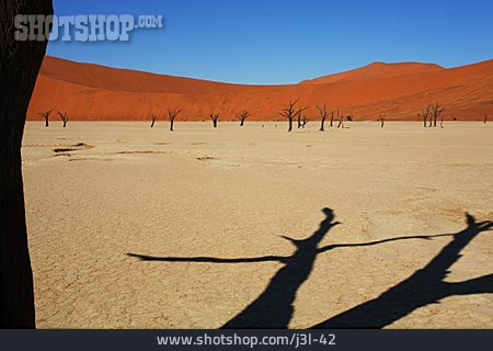 
                Wüste, Namibia, Sossusvlei, Namib                   