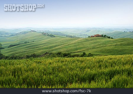 
                Landschaft, Italien, Toskana, Hügelig                   