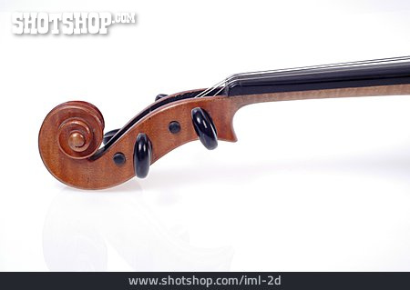 
                Schnecke, Geige, Saiteninstrument                   