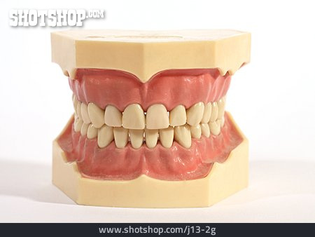 
                Zahnersatz, Dritte Zähne, Totalprothese                   