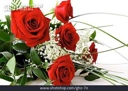 
                Blumenstrauß, Rosenblüte, Rote Rose, Rosenstrauß                   