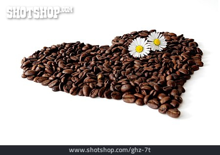 
                Herz, Gänseblümchen, Koffein, Kaffeebohne                   