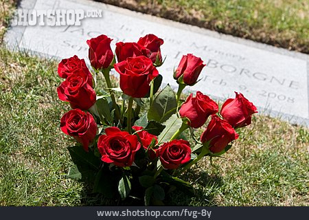
                Rose, Friedhof, Blumenstrauß, Trauer                   