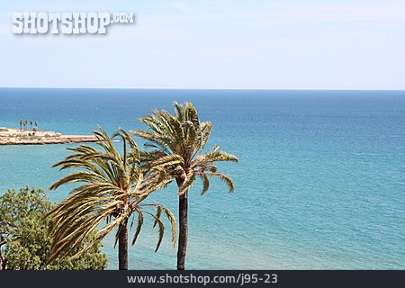 
                Horizont, Palmen, Mittelmeer                   