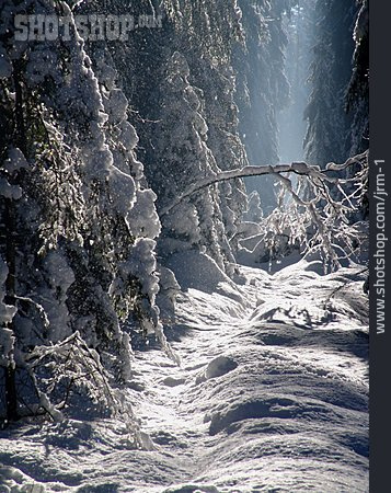 
                Winterlandschaft, Verschneit, Schneedecke                   