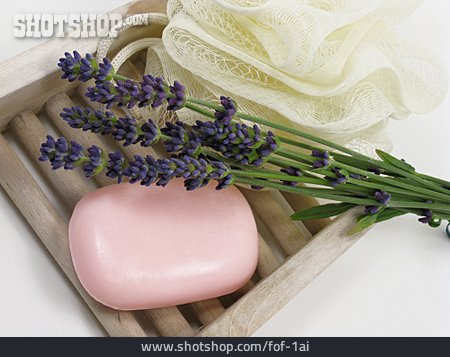 
                Körperpflege, Seife, Lavendel                   