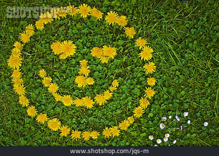 
                Smiley, Blumengesicht                   