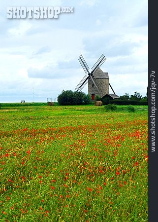 
                Windmühle, Normandie                   