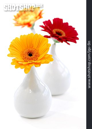 
                Blumenvase, Gerbera, Blumendekoration                   