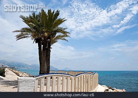 
                Spanien, Strandpromenade, Palme, Mittelmeer, Costa Blanca                   