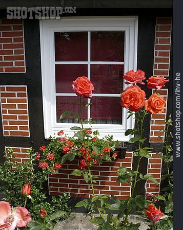 
                Fenster, Blumenschmuck                   