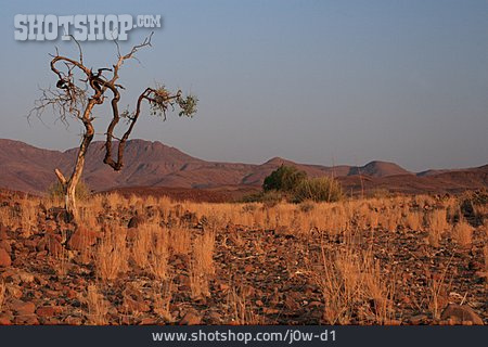 
                Namibia, Savanne                   