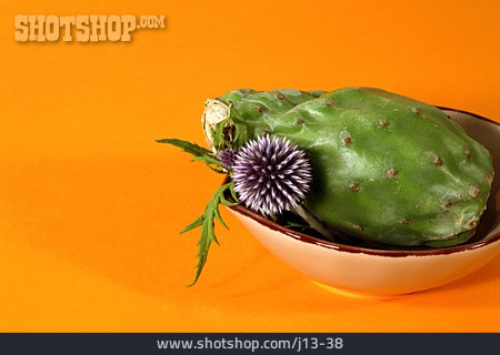
                Feigenfrucht, Kaktusfeige                   