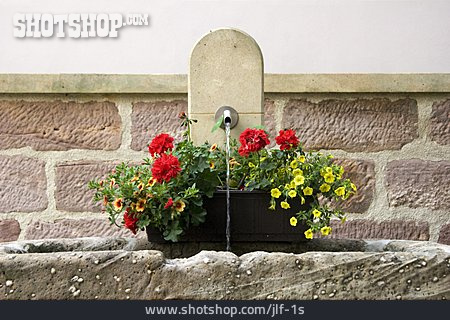 
                Blumenkasten, Brunnen                   
