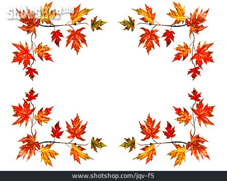 
                Herbst, Rahmen, Ahornblatt, Ahornzweig                   