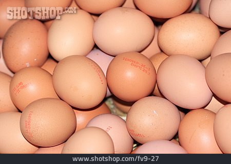
                Egg, Chicken Egg                   