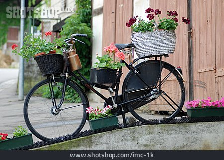 
                Fahrrad, Dekoration, Blumentopf                   