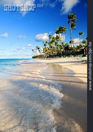 
                Strand, Tropisch, Karibik, Traumstrand, Dominikanische Republik                   