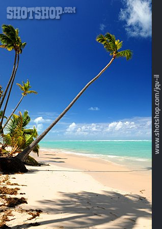 
                Strand, Tropisch, Karibik                   