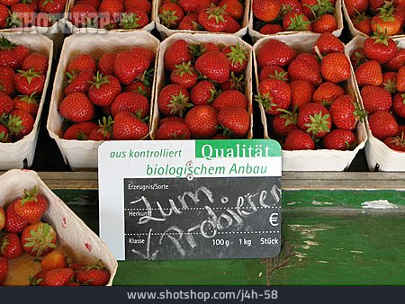 
                Erdbeere, Bio, Biologischer Anbau                   