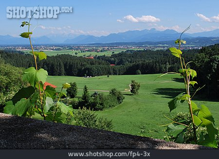 
                Landscape, Bavaria                   