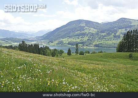 
                Allgäu, Großer Alpsee                   