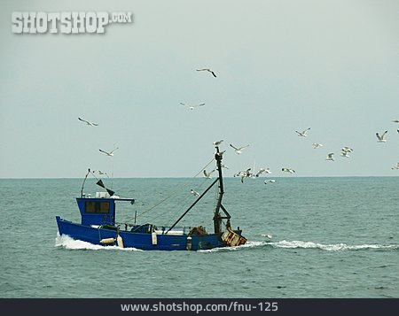 
                Fischfang, Fischerboot, Fischkutter                   
