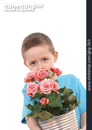 
                Junge, Blumentopf, Blumengeschenk                   