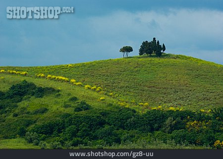 
                Hügel, Toskana                   