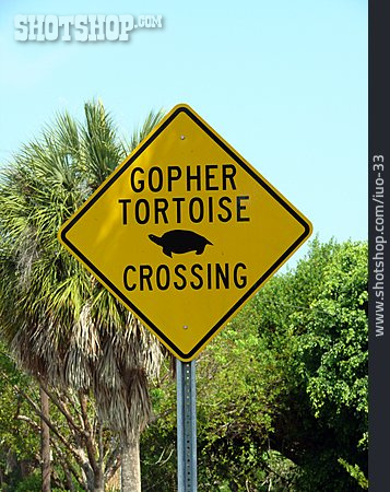 
                Warnschild, Schildkröte, Wildwechsel, Gopher Tortoise Crossing                   