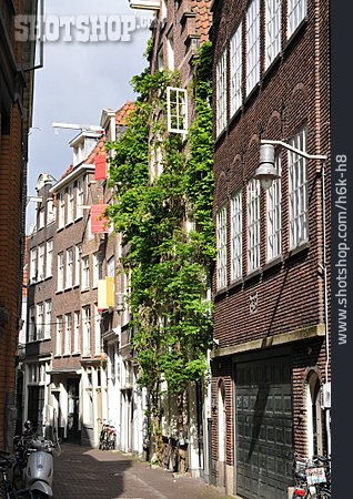 
                Gasse, Amsterdam                   